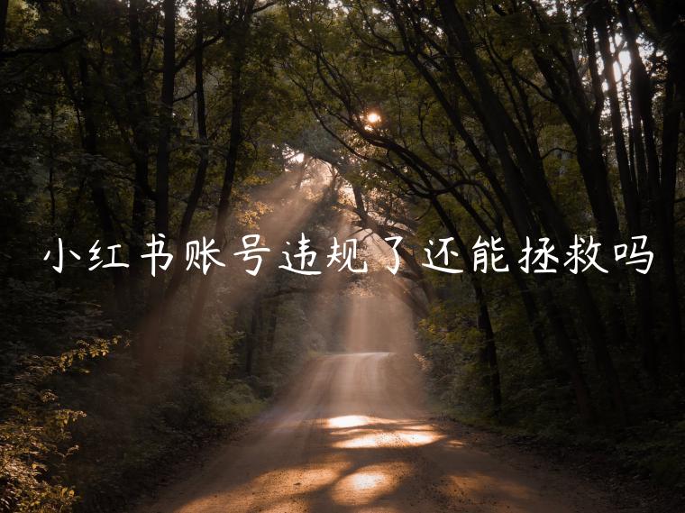 小紅書賬號違規(guī)了還能拯救嗎